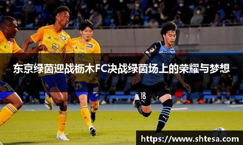 OE欧亿官网